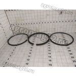Кольца компрессора (3 шт) А29.01.180